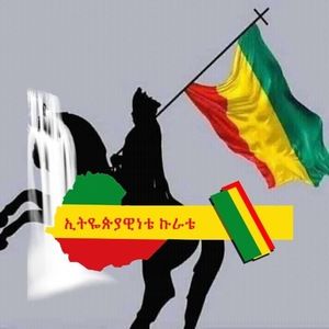 Meet your Posher, Mekdes